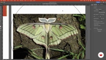 Lesson image